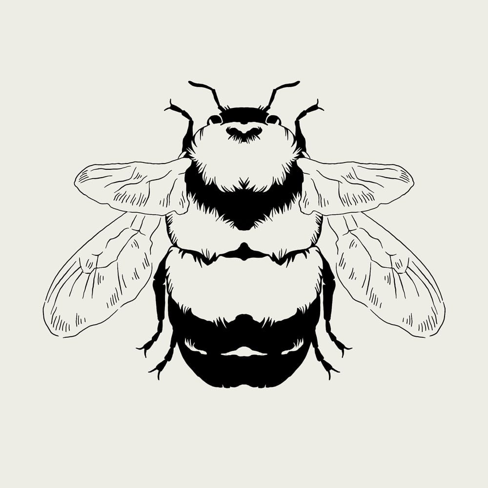23-8_Bumblebee